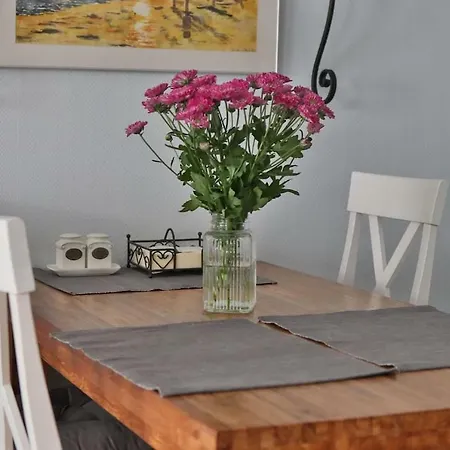 Freundliche Direkt Hinter Dem Deich *